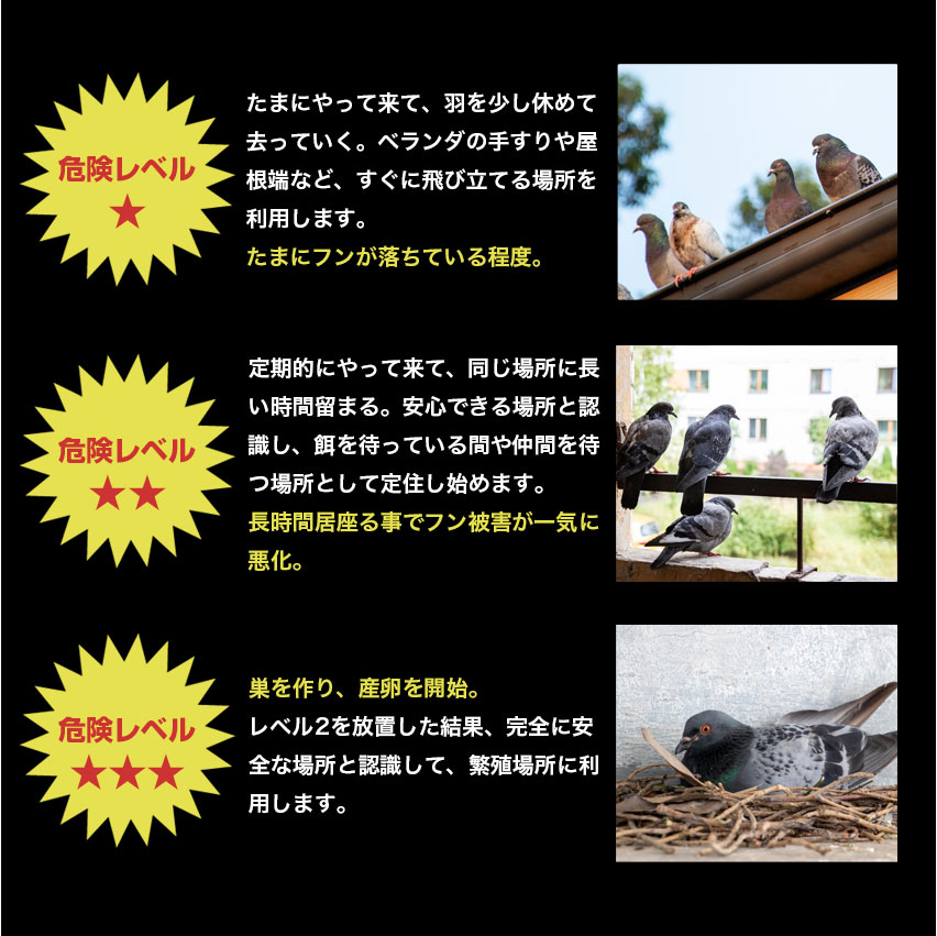 鳥よけ とげ マット セット ベランダ 鳥よけグッズ