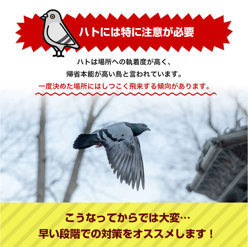 鳥よけ とげ マット セット ベランダ 鳥よけグッズ