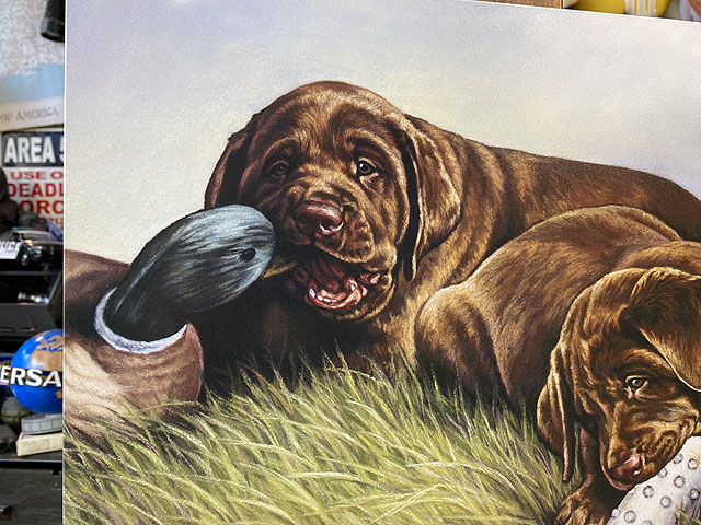 ラブラドールレトリバー　ブリキ看板　（Demolition Crew） ■ アメリカン雑貨 アメリカ雑貨 |  | 01