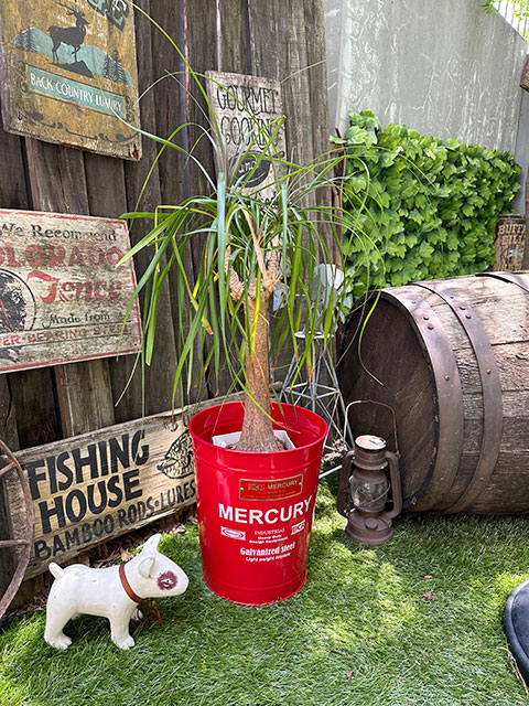 マーキュリー　オフィストラッシュボックス　13L　（レッド）　■　アメリカン雑貨　アメリカ雑貨 | MERCURY | 04