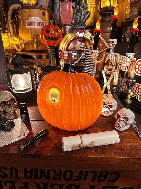 パンプキンランタン　ラウンド　（Sサイズ）　ハロウィン　ジャック・オ・ランタン　カボチャ　■　アメリカン雑貨　アメリカ雑貨 |  | 05