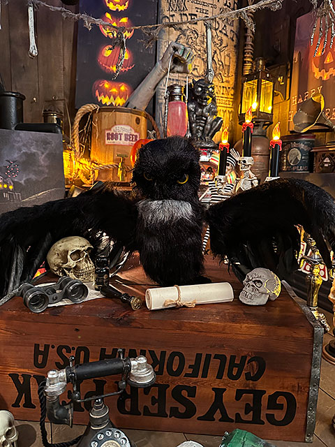 センサーで反応して動く！しゃべる！ムービング　オウル　ふくろう |  | 03