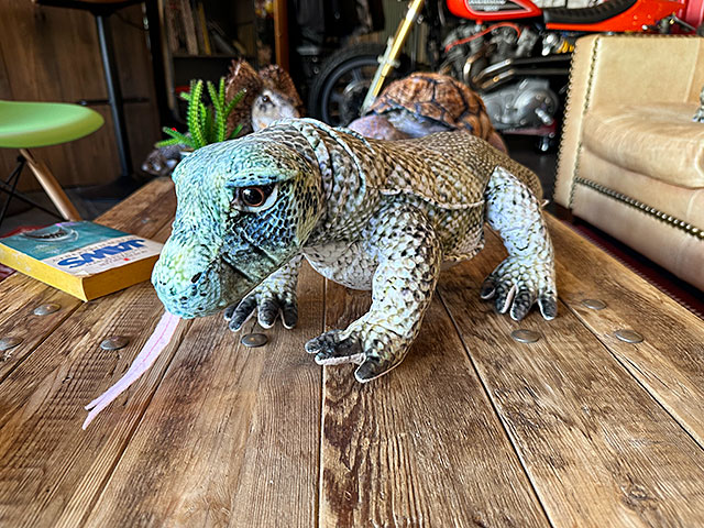 リアル爬虫類ぬいぐるみ　コモドオオトカゲ　64cm　世界最大のトカゲ　コモドドラゴン ■ アメリカン雑貨 アメリカ雑貨｜candytower