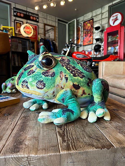リアル爬虫類ぬいぐるみ ベルツノガエル Lサイズ 30cm □ アメリカン 