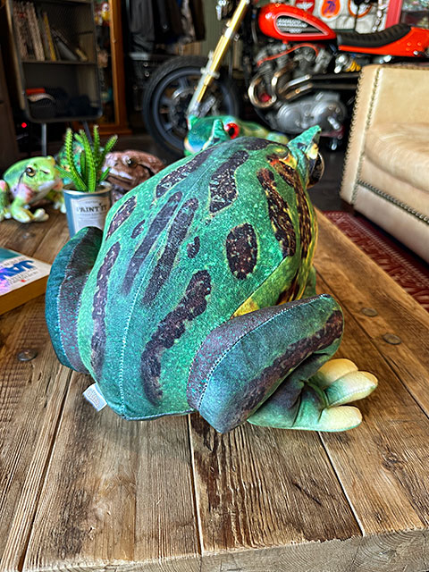 ツノガエル ぬいぐるみのおすすめ人気商品一覧 通販 - Yahoo!ショッピング