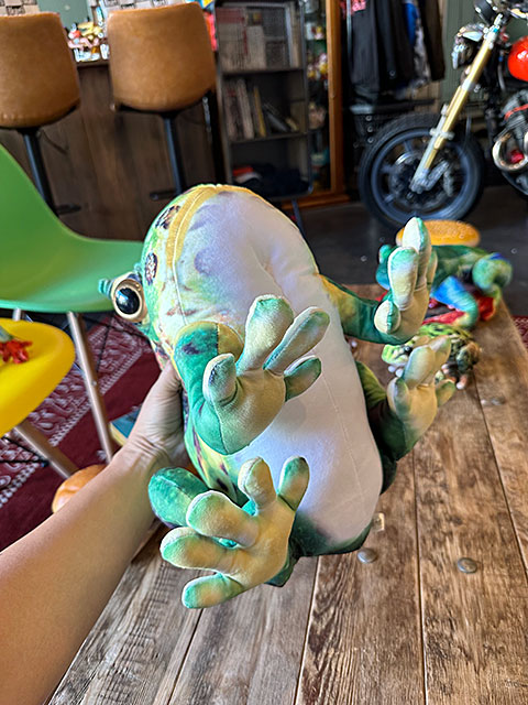 リアル爬虫類ぬいぐるみ ベルツノガエル Lサイズ 30cm □ アメリカン