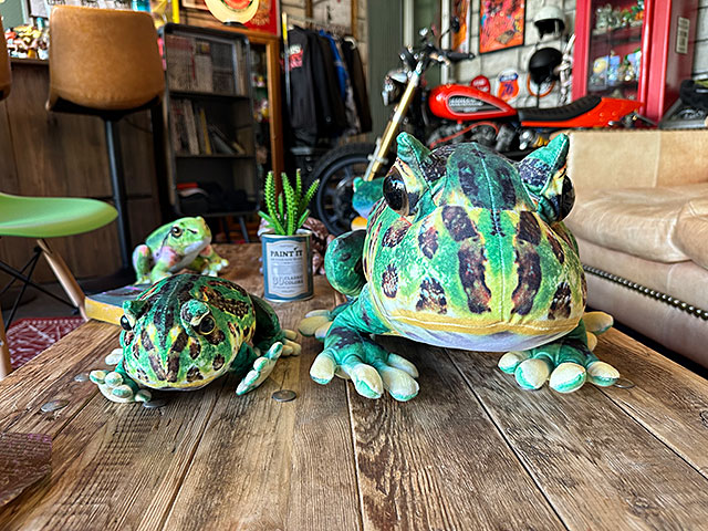 リアル爬虫類ぬいぐるみ ベルツノガエル Lサイズ 30cm □ アメリカン