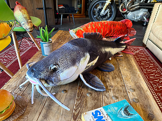 リアル熱帯魚ぬいぐるみ レッドテールキャットフィッシュ 77cm 肉食魚 
