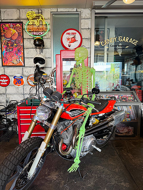 暗闇で光る！　等身大サイズ 　蓄光　ディスプレイガイコツ　150cm　Lサイズ |  | 15