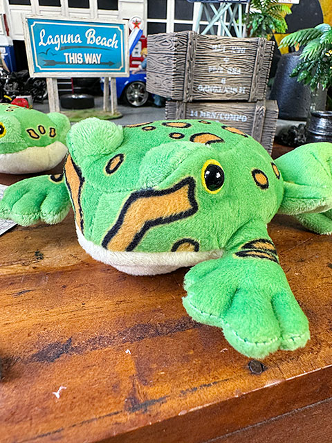 ベルツノガエル マグネット付き ぬいぐるみ カエル 単品 □ アメリカン
