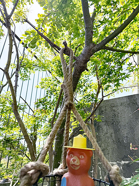 3連　ワイヤーバスケット　with　ロープ ■ アメリカン雑貨 アメリカ雑貨 |  | 09