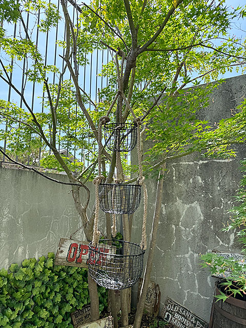 3連　ワイヤーバスケット　with　ロープ ■ アメリカン雑貨 アメリカ雑貨 |  | 10