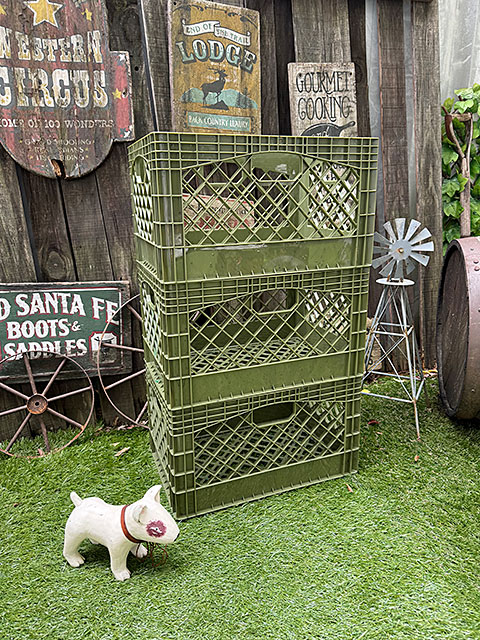 アメ雑屋さんがショップ什器としてよく使う　アメリカン　スタンダード　ミルククレート　（レクタングル/カーキ）　単品 |  | 11