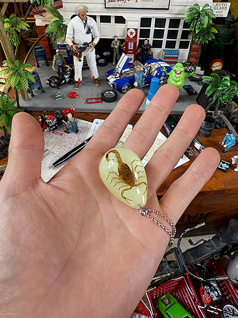 暗闇で光る！　蓄光　本物のサソリが入ってる　スコーピオン　ドロップ　キーホルダー　標本　アメリカ　幸運　縁起物　魔除け |  | 07