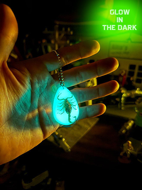 暗闇で光る！　蓄光　本物のサソリが入ってる　スコーピオン　ドロップ　キーホルダー　標本　アメリカ　幸運　縁起物　魔除け | 