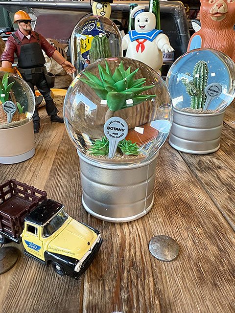 ダルトン　プランツ　ウォーターグローブ　（2個セット）　サボテン　カクタス　アガベ　スノードーム　スノーグローブ | DULTON | 04