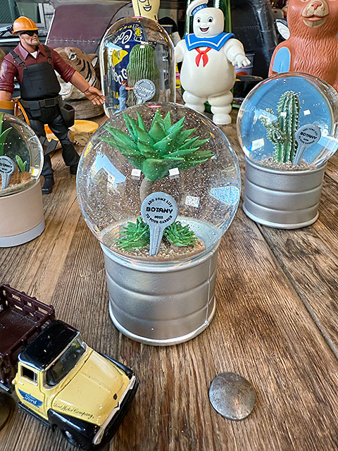 DULTON（ダルトン） プランツ ウォーターグローブ （アテナータ