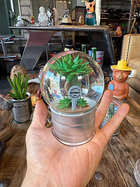 ダルトン　プランツ　ウォーターグローブ　（2個セット）　サボテン　カクタス　アガベ　スノードーム　スノーグローブ | DULTON | 06