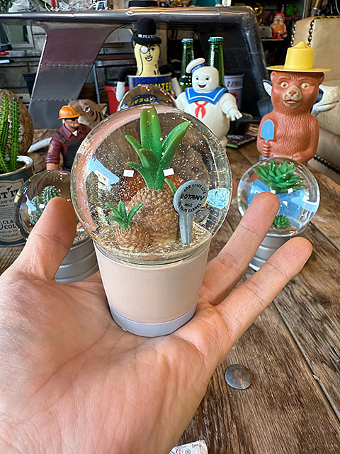 ダルトン　プランツ　ウォーターグローブ　（3個セット）　サボテン　カクタス　アガベ　スノードーム　スノーグローブ | DULTON | 07