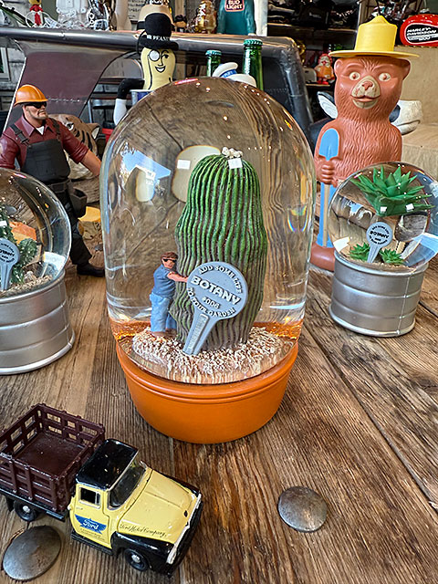 ダルトン　プランツ　ウォーターグローブ　（カクタス with メン）　サボテン　スノードーム　スノーグローブ | DULTON