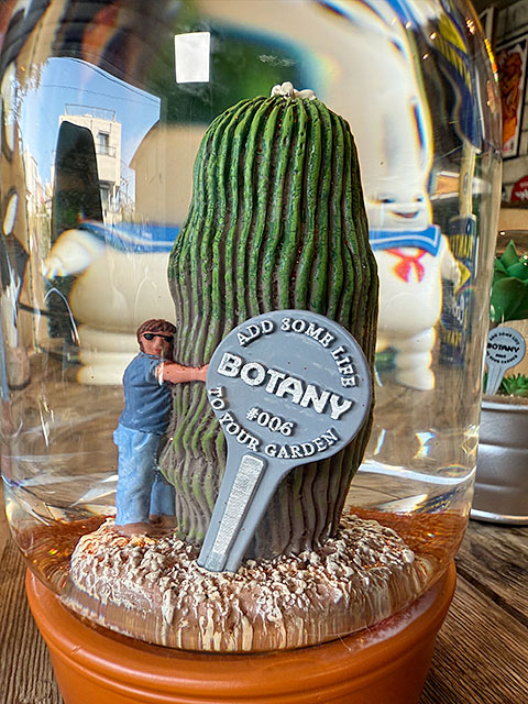 ダルトン　プランツ　ウォーターグローブ　（カクタス with メン）　サボテン　スノードーム　スノーグローブ | DULTON | 01