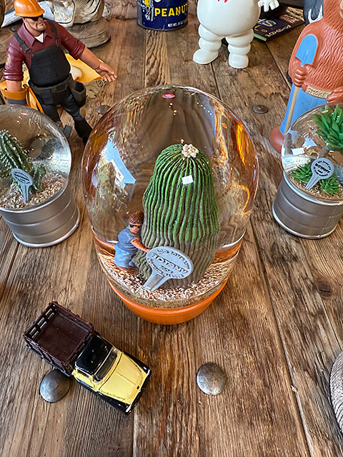 ダルトン　プランツ　ウォーターグローブ　（カクタス with メン）　サボテン　スノードーム　スノーグローブ | DULTON | 02