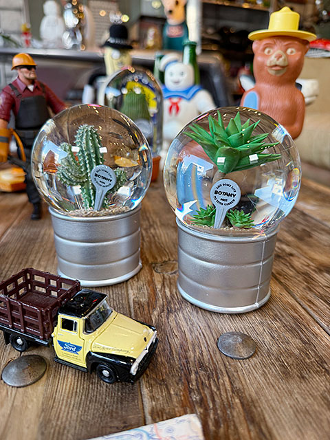 ダルトン　プランツ　ウォーターグローブ　（2個セット）　サボテン　カクタス　アガベ　スノードーム　スノーグローブ | DULTON