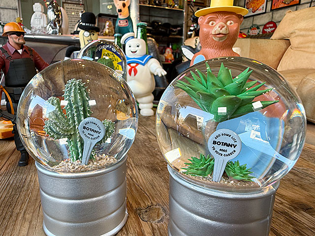 ダルトン　プランツ　ウォーターグローブ　（2個セット）　サボテン　カクタス　アガベ　スノードーム　スノーグローブ | DULTON | 01