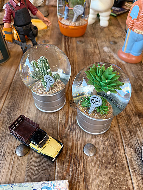 ダルトン　プランツ　ウォーターグローブ　（2個セット）　サボテン　カクタス　アガベ　スノードーム　スノーグローブ | DULTON | 02