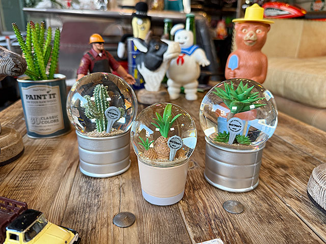 ダルトン　プランツ　ウォーターグローブ　（3個セット）　サボテン　カクタス　アガベ　スノードーム　スノーグローブ | DULTON