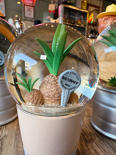 ダルトン　プランツ　ウォーターグローブ　（3個セット）　サボテン　カクタス　アガベ　スノードーム　スノーグローブ | DULTON | 04