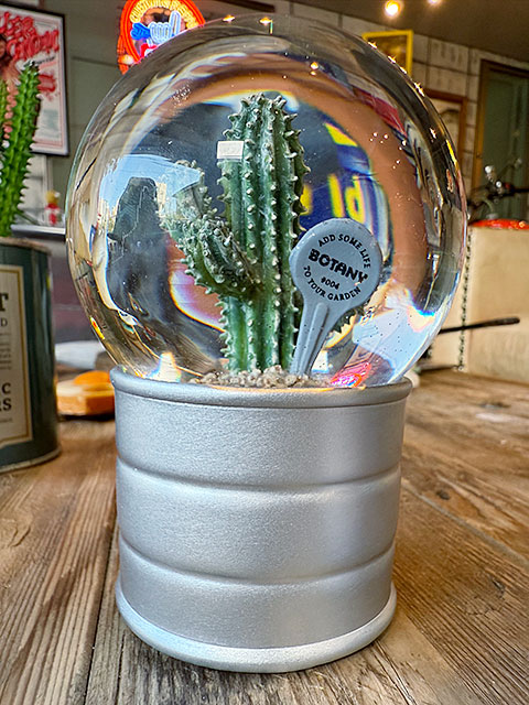 ダルトン　プランツ　ウォーターグローブ　（3個セット）　サボテン　カクタス　アガベ　スノードーム　スノーグローブ | DULTON | 02
