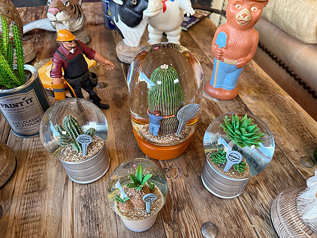 ダルトン　プランツ　ウォーターグローブ　（4個セット）　サボテン　カクタス　アガベ　スノードーム　スノーグローブ | DULTON | 01