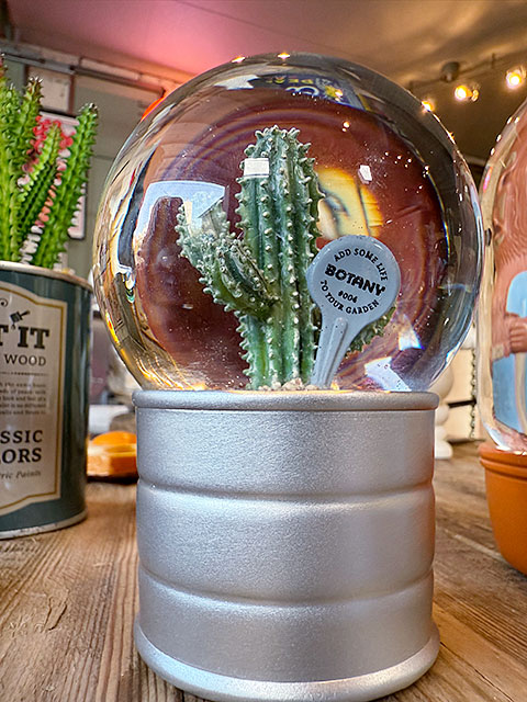 ダルトン　プランツ　ウォーターグローブ　（4個セット）　サボテン　カクタス　アガベ　スノードーム　スノーグローブ | DULTON | 05