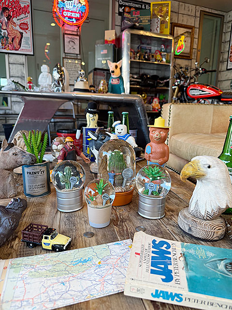 ダルトン　プランツ　ウォーターグローブ　（4個セット）　サボテン　カクタス　アガベ　スノードーム　スノーグローブ | DULTON | 10