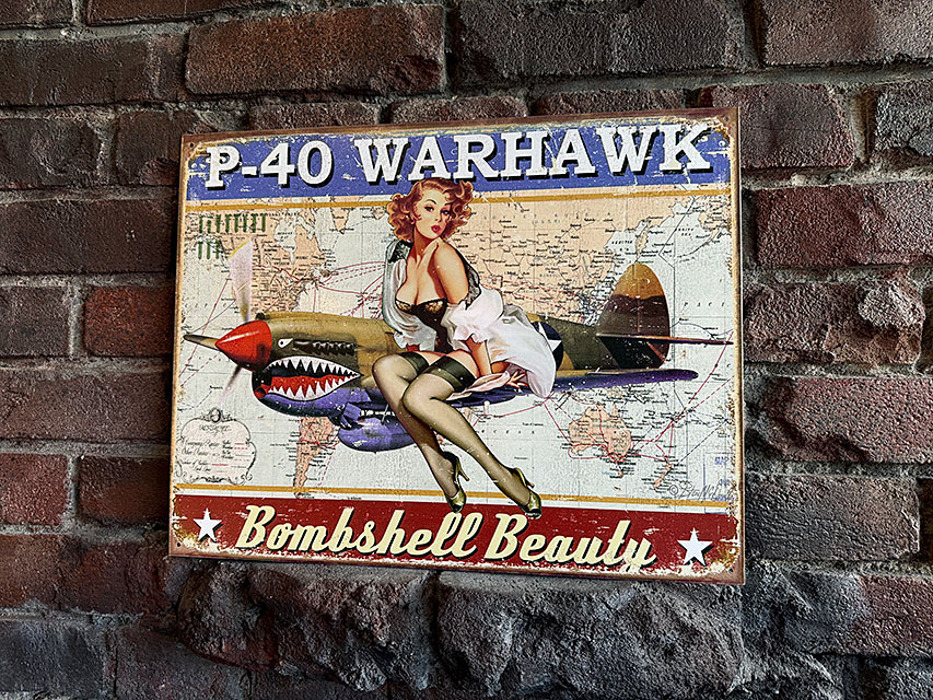 ミリタリー　ピンナップガール　アート　ブリキ看板　（P-40 WARHAWK） ■ アメリカン雑貨 アメリカ雑貨 | 