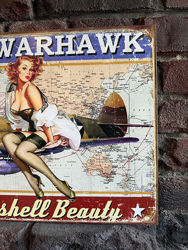 ミリタリー　ピンナップガール　アート　ブリキ看板　（P-40 WARHAWK） ■ アメリカン雑貨 アメリカ雑貨 |  | 02