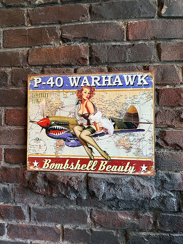 ミリタリー　ピンナップガール　アート　ブリキ看板　（P-40 WARHAWK） ■ アメリカン雑貨 アメリカ雑貨 |  | 04