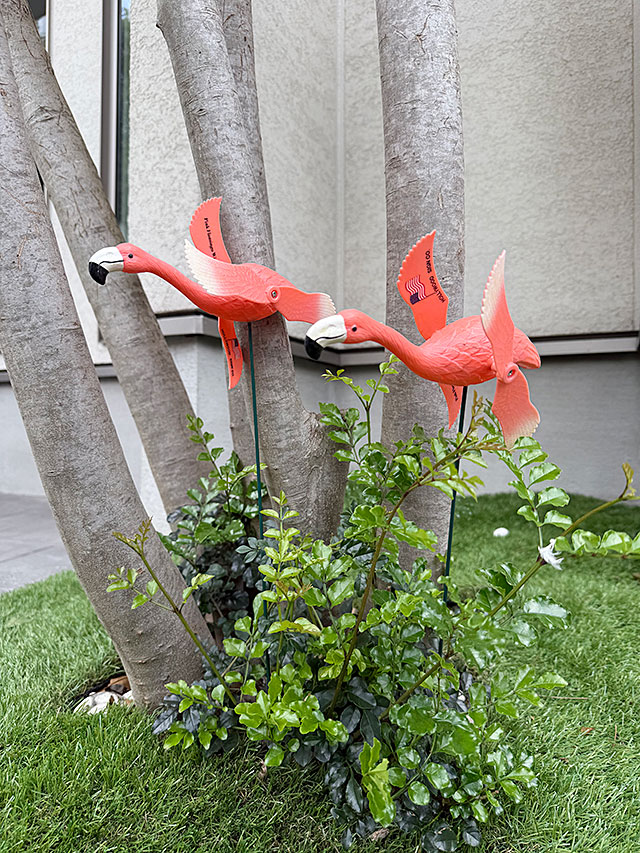 ピンクフラミンゴ　フライング　ガーデンオーナメント　（2体セット） ■ アメリカン雑貨 アメリカ雑貨 | 