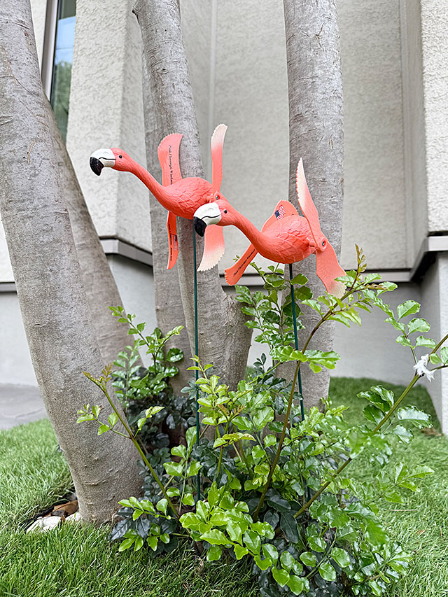 ピンクフラミンゴ　フライング　ガーデンオーナメント　（2体セット） ■ アメリカン雑貨 アメリカ雑貨 |  | 06