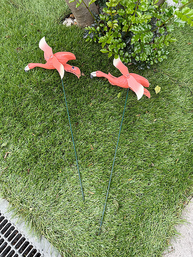 ピンクフラミンゴ　フライング　ガーデンオーナメント　（2体セット） ■ アメリカン雑貨 アメリカ雑貨 |  | 08
