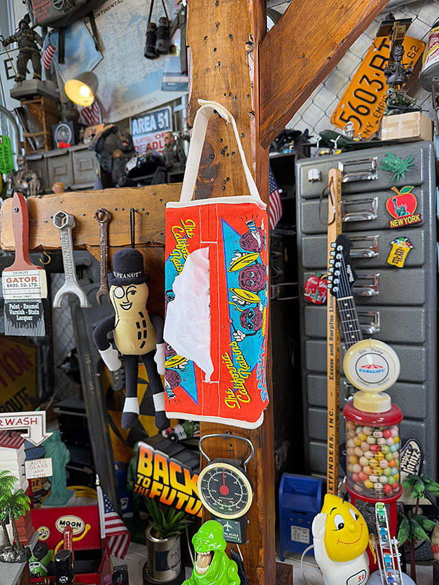 カリフォルニアレーズン　ティッシュカバー ■ アメリカン雑貨 アメリカ雑貨 |  | 06