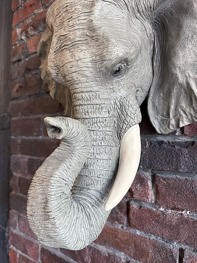 エレファント ヘッドオブジェ ゾウさん ウォールディスプレイ 壁飾り