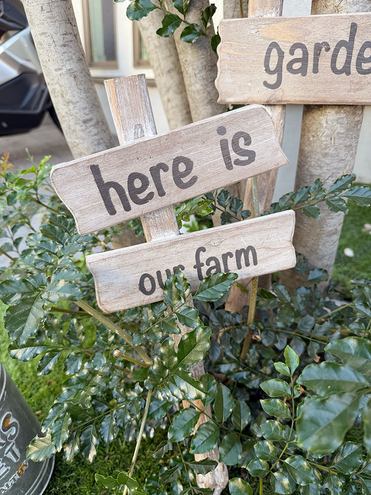 「OUR FARM」 & 「OUR COMMON GARDEN」　ウッド製　ガーデンサインボード　（2個セット） ■ アメリカン雑貨 アメリカ雑貨 |  | 01
