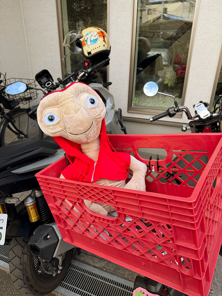 E.T. 赤いパーカー ぬいぐるみ Lサイズ □ アメリカン雑貨 アメリカ