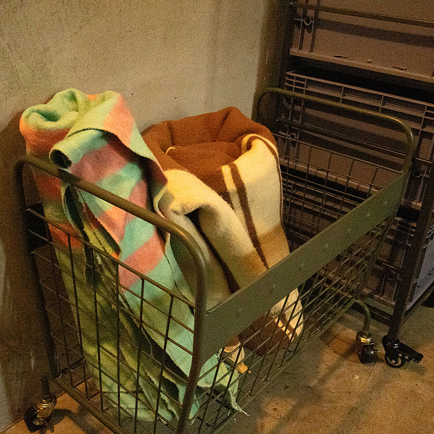 ミリタリーテイスト　メッシュカーゴ　（オリーブ）　全国送料無料（沖縄・離島除く）　秘密基地系ファニチャー　FML ■ アメリカン雑貨 |  | 01