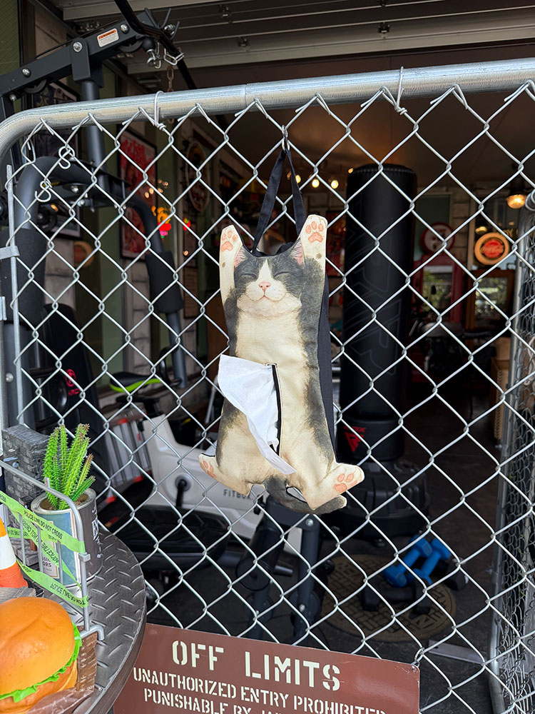 キャット　ティッシュボックスカバー　（ハチワレ）　ネコ ■ アメリカン雑貨 アメリカ雑貨 |  | 03