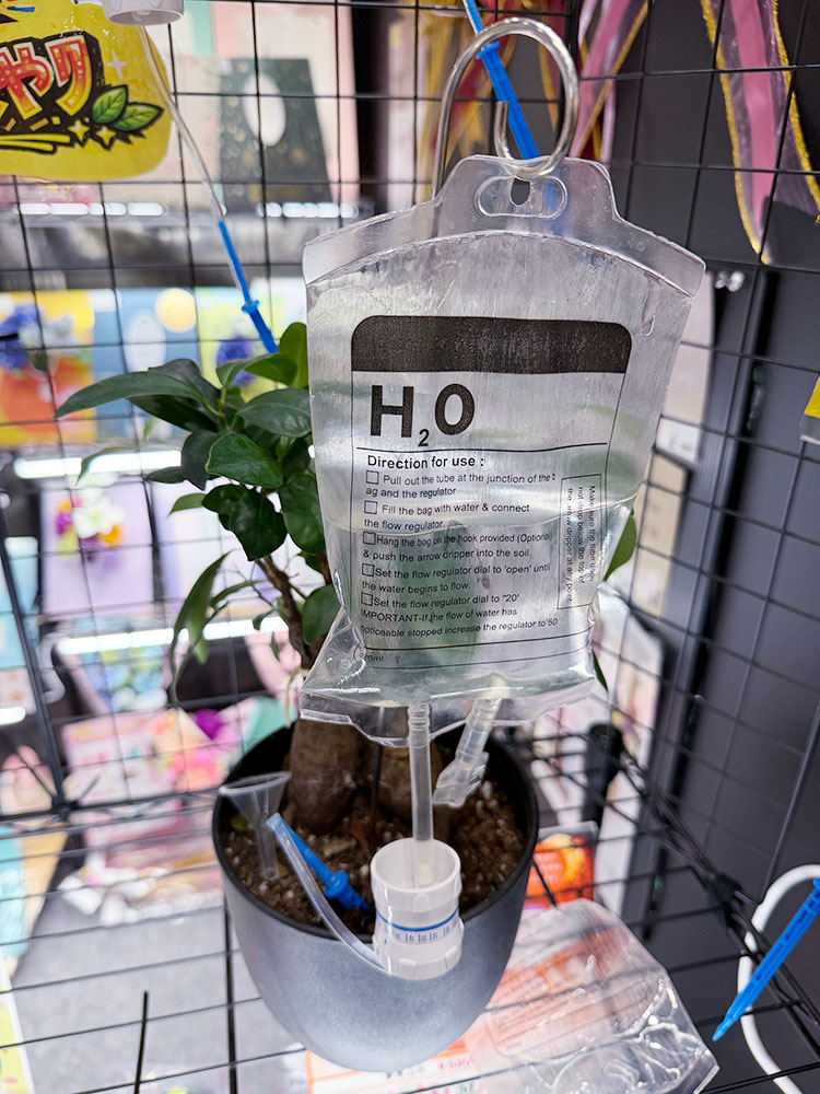 点滴バッグ型　ウォータリングバッグ　植物　自動水やり器　自動給水器 ■ アメリカン雑貨 アメリカ雑貨 |  | 08