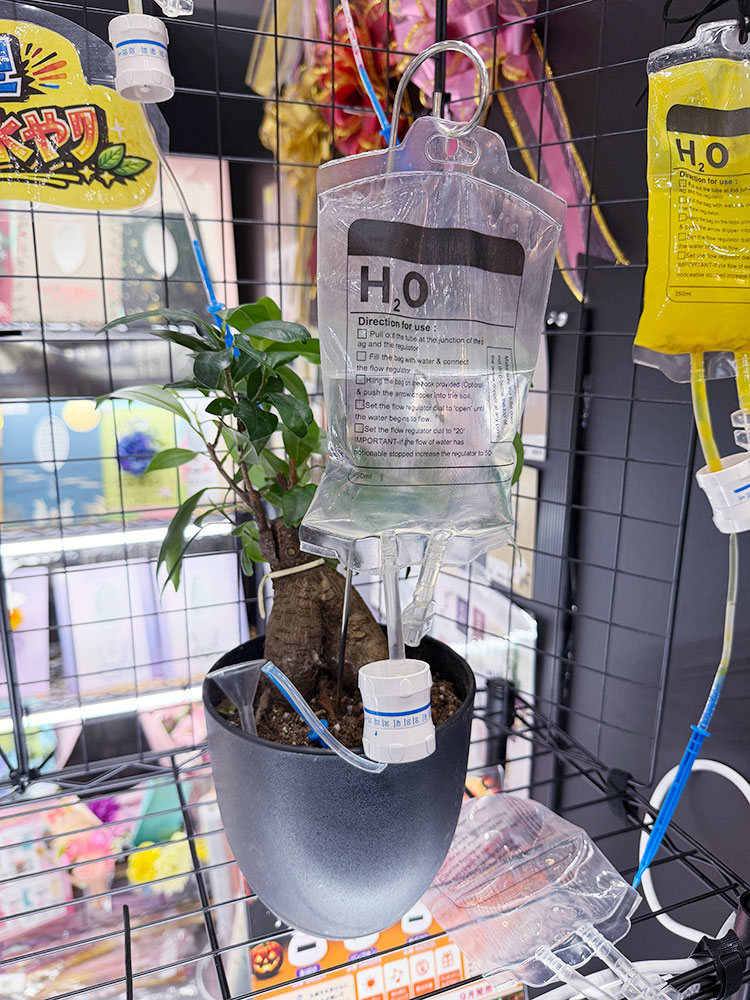 点滴バッグ型　ウォータリングバッグ　植物　自動水やり器　自動給水器 ■ アメリカン雑貨 アメリカ雑貨 |  | 09