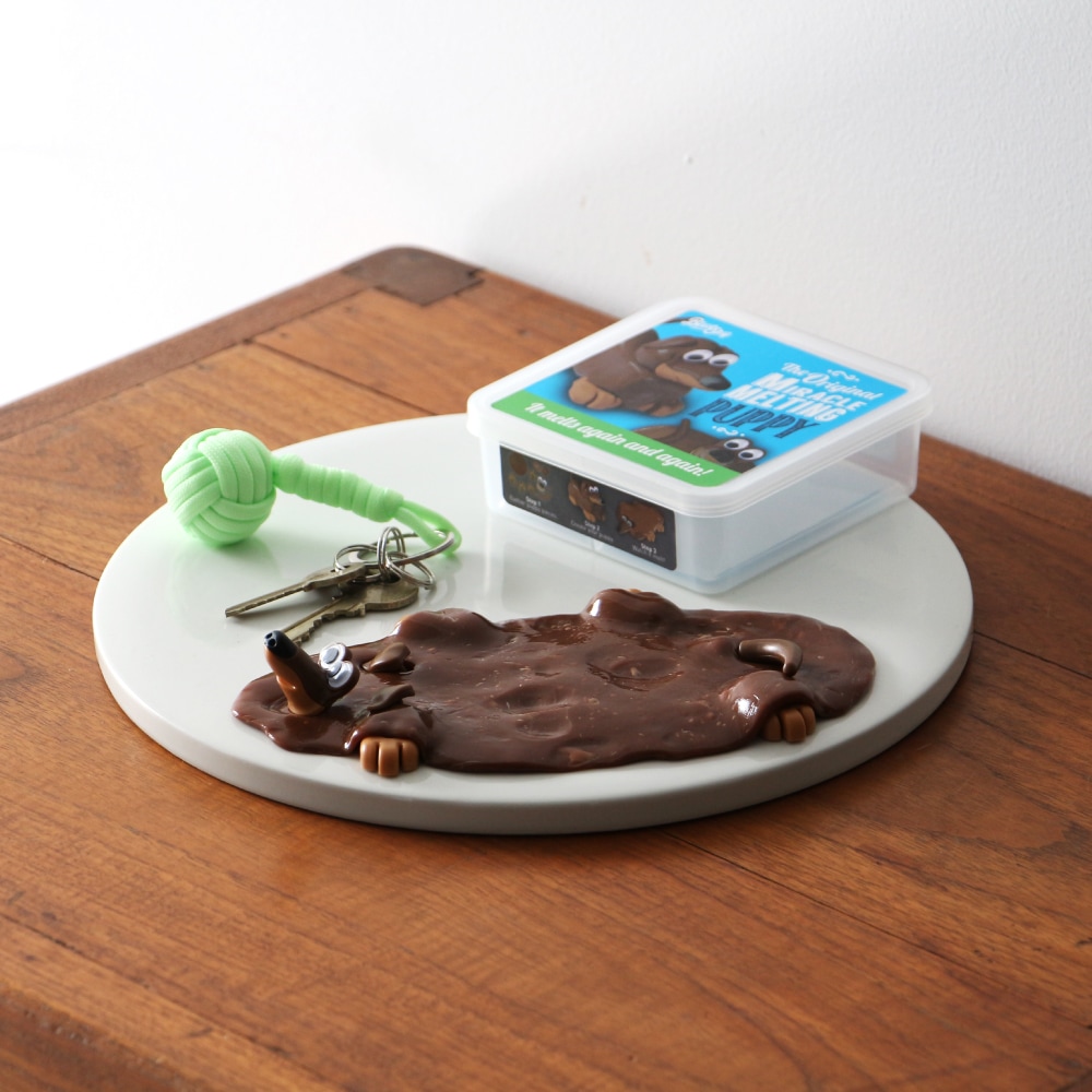 溶ける犬　ミラクル　メルティング　パピー ■ アメリカン雑貨 アメリカ雑貨 |  | 07